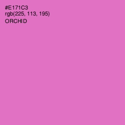 #E171C3 - Orchid Color Image