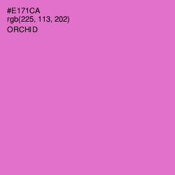 #E171CA - Orchid Color Image
