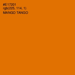 #E17201 - Mango Tango Color Image