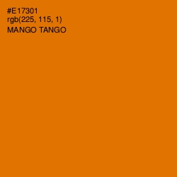 #E17301 - Mango Tango Color Image