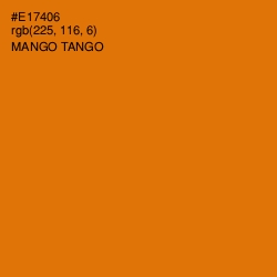 #E17406 - Mango Tango Color Image