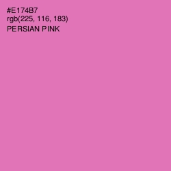 #E174B7 - Persian Pink Color Image