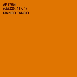 #E17501 - Mango Tango Color Image