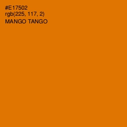 #E17502 - Mango Tango Color Image
