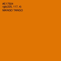 #E17504 - Mango Tango Color Image