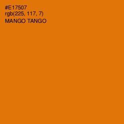 #E17507 - Mango Tango Color Image