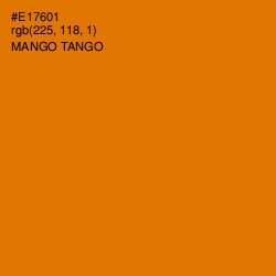 #E17601 - Mango Tango Color Image