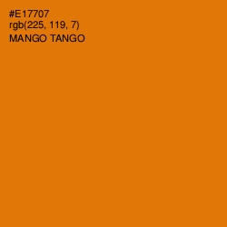 #E17707 - Mango Tango Color Image