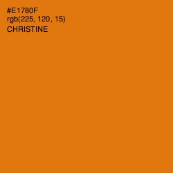 #E1780F - Christine Color Image