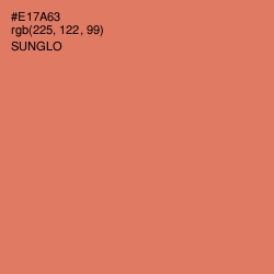 #E17A63 - Sunglo Color Image