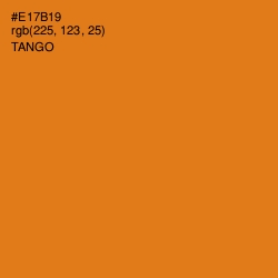 #E17B19 - Tango Color Image
