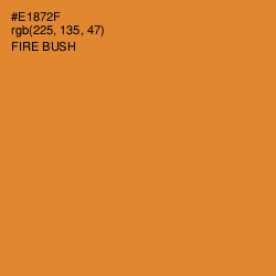 #E1872F - Fire Bush Color Image