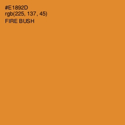 #E1892D - Fire Bush Color Image