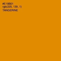 #E18B01 - Tangerine Color Image