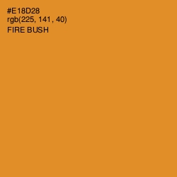 #E18D28 - Fire Bush Color Image