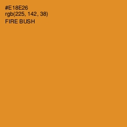 #E18E26 - Fire Bush Color Image