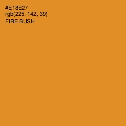 #E18E27 - Fire Bush Color Image