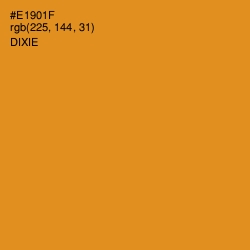 #E1901F - Dixie Color Image