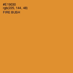 #E19030 - Fire Bush Color Image