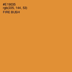 #E19035 - Fire Bush Color Image