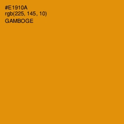 #E1910A - Gamboge Color Image