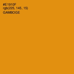 #E1910F - Gamboge Color Image