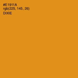 #E1911A - Dixie Color Image