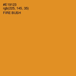 #E19123 - Fire Bush Color Image