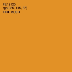 #E19125 - Fire Bush Color Image