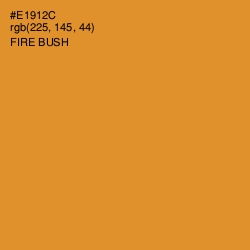#E1912C - Fire Bush Color Image