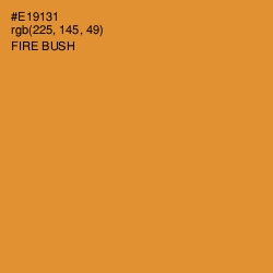 #E19131 - Fire Bush Color Image