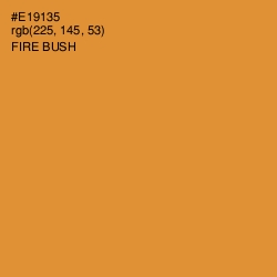 #E19135 - Fire Bush Color Image