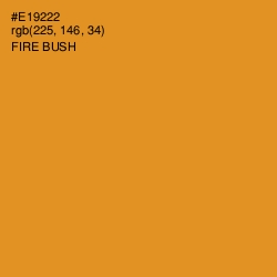 #E19222 - Fire Bush Color Image