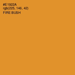 #E1922A - Fire Bush Color Image