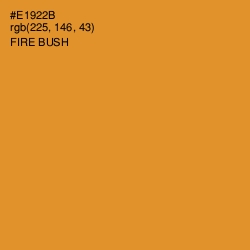 #E1922B - Fire Bush Color Image