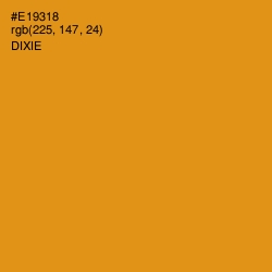 #E19318 - Dixie Color Image