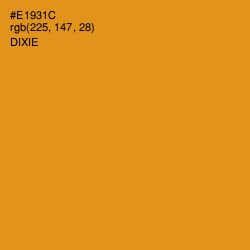 #E1931C - Dixie Color Image