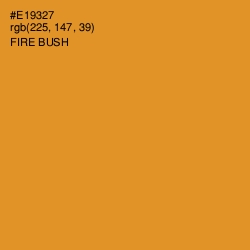 #E19327 - Fire Bush Color Image