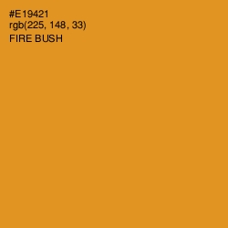 #E19421 - Fire Bush Color Image