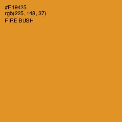 #E19425 - Fire Bush Color Image