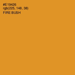 #E19426 - Fire Bush Color Image