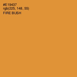 #E19437 - Fire Bush Color Image