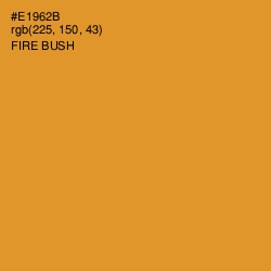 #E1962B - Fire Bush Color Image