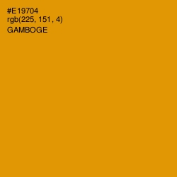 #E19704 - Gamboge Color Image