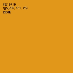 #E19719 - Dixie Color Image