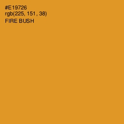 #E19726 - Fire Bush Color Image