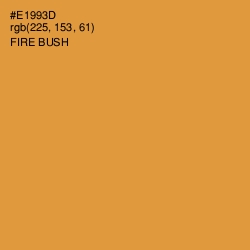 #E1993D - Fire Bush Color Image