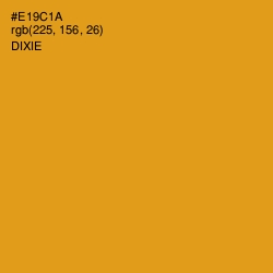 #E19C1A - Dixie Color Image
