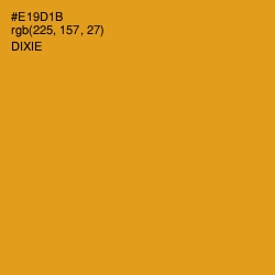 #E19D1B - Dixie Color Image