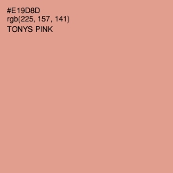 #E19D8D - Tonys Pink Color Image